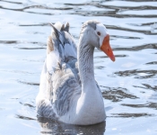 2019 03 17 Veterns MemorialPark 004